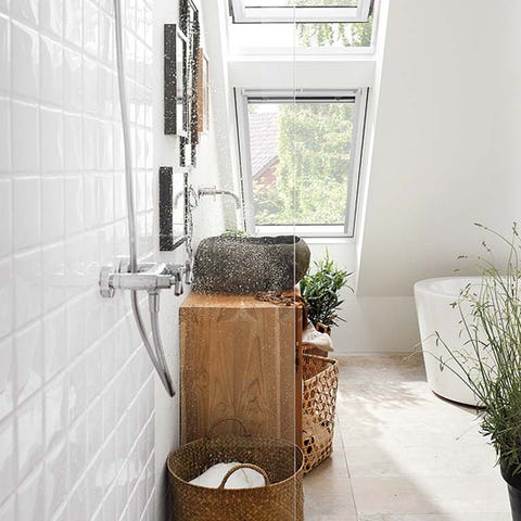 Wall, Room, Plumbing fixture, Fixture, Flowerpot, Plumbing, Houseplant, Tile, Daylighting, Home door, 