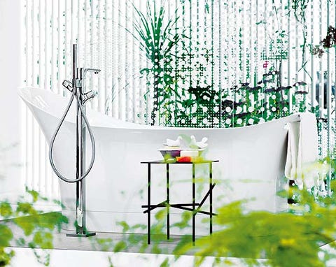 Interior design, Wall, Illustration, Paint, Transparent material, Herb, Drawing, 