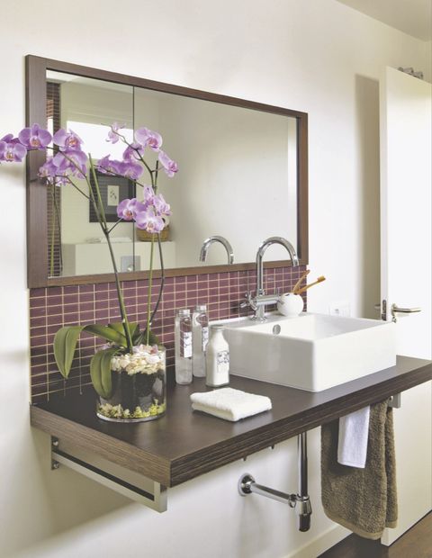 Bathroom sink, Plumbing fixture, Room, Purple, Tap, Flower, Petal, Wall, Interior design, Sink, 