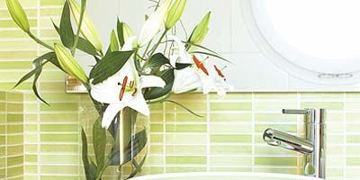 Plumbing fixture, Property, Bathroom sink, Room, Leaf, Wall, Tap, Fluid, Porcelain, Ceramic, 