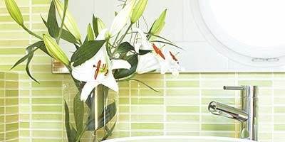 Plumbing fixture, Property, Bathroom sink, Room, Leaf, Wall, Tap, Fluid, Porcelain, Ceramic, Plumbing fixture, Property, Bathroom sink, Room, Leaf, Wall, Tap, Fluid, Porcelain, Ceramic,