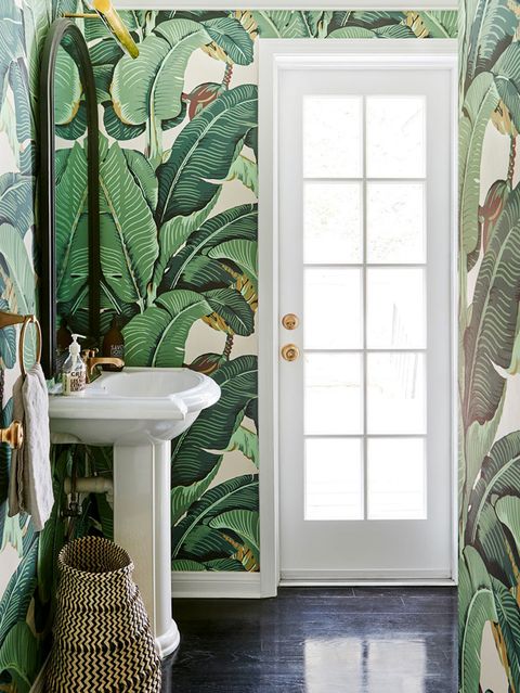 Green, Leaf, Room, Interior design, Houseplant, Botany, Window, Tile, House, Home, 