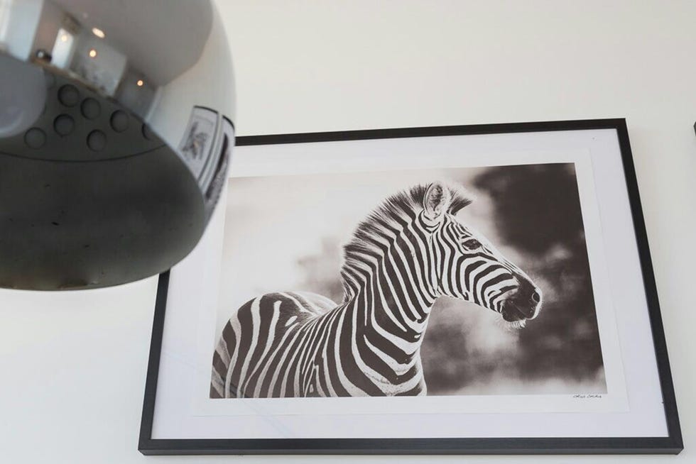 Zebra, White, Style, Terrestrial animal, Glass, Monochrome photography, Black-and-white, Pattern, Rectangle, Design, 