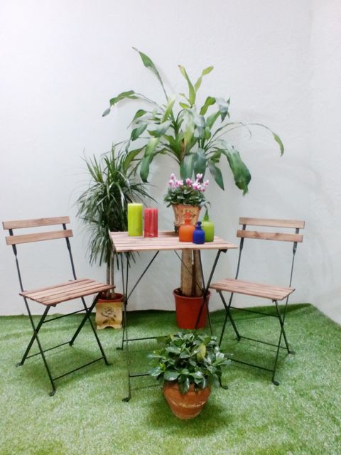 Flowerpot, Plant, Furniture, Vase, Interior design, Houseplant, Artifact, Peach, Flower Arranging, Plant stem, 