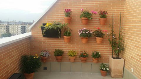 Flowerpot, Houseplant, Plant, Flower, Balcony, Herb, geranium, Shrub, 