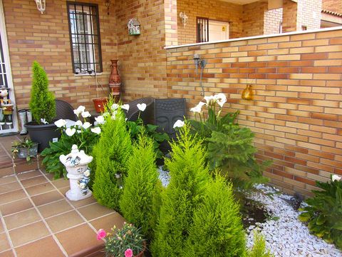 Window, Plant, Brick, Flowerpot, Brickwork, Shrub, Real estate, Garden, Annual plant, Houseplant, 