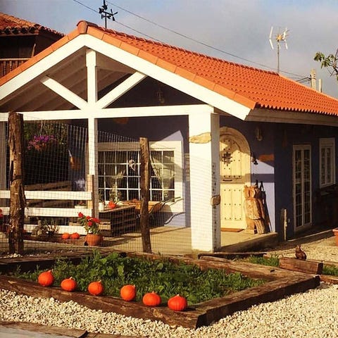 House, Roof, Door, Home, Cottage, Outdoor structure, Flowerpot, Landscaping, 