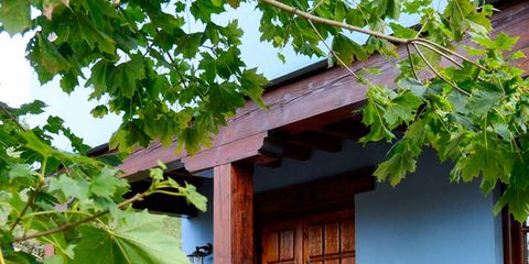 Wood, Leaf, House, Door, Fixture, Home door, Annual plant, Flowerpot, Village, Grapevine family, 