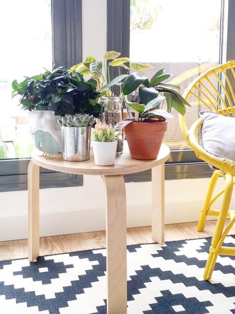 Flowerpot, Interior design, Houseplant, Vase, Artifact, Annual plant, Bicycle wheel rim, Pottery, Tile flooring, 