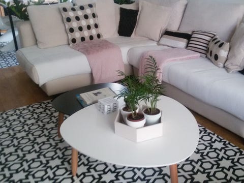 Furniture, Living room, Coffee table, Room, Interior design, Property, Table, Couch, Floor, studio couch, 