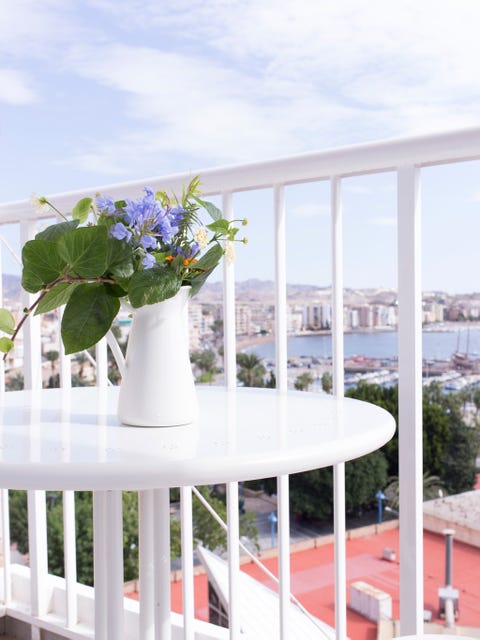 Flowerpot, Flower, Table, Real estate, Petal, Glass, Outdoor table, Vase, Flowering plant, Balcony, 