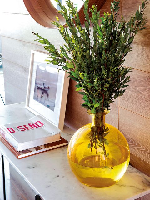 Houseplant, Flowerpot, Yellow, Plant, Rosemary, Flower, Herb, Tree, Room, Vase, 