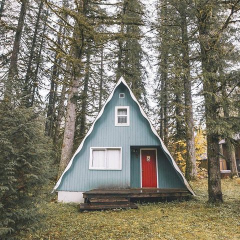 Tree, House, Property, Rural area, Shed, Home, Shack, Building, Roof, Cottage, 