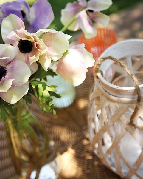 Petal, Flower, Flowering plant, Insect, Natural material, Invertebrate, Still life photography, Ring, Cut flowers, Wedding ceremony supply, 