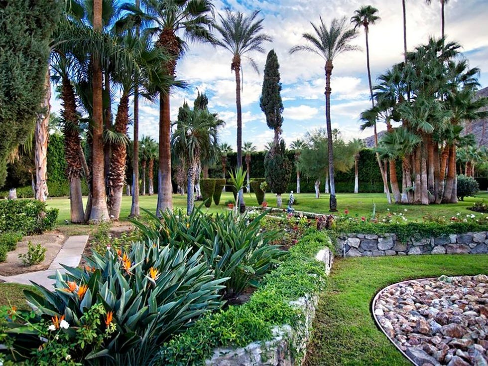 Tree, Vegetation, Palm tree, Garden, Arecales, Plant, Building, Real estate, Botany, Resort, 
