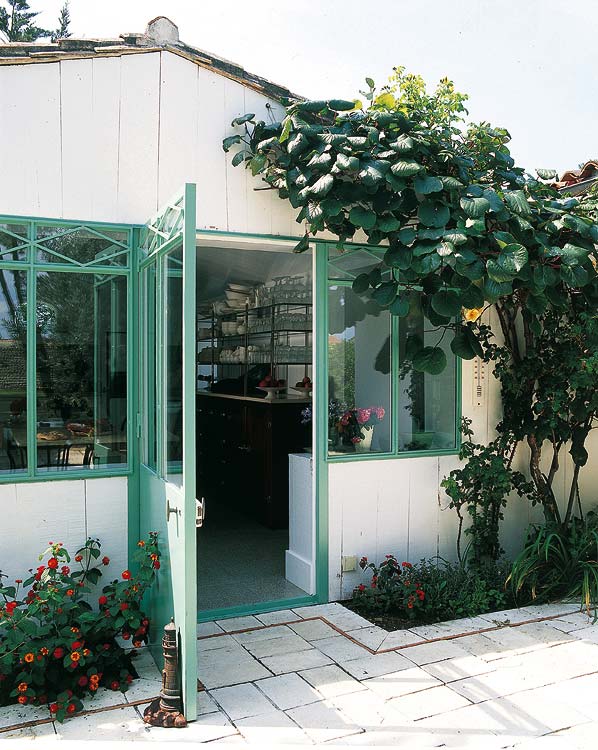 House, Door, Fixture, Home door, Shrub, Flowerpot, Houseplant, Coquelicot, Annual plant, 
