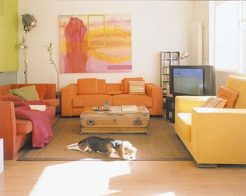 Room, Interior design, Wood, Floor, Living room, Flooring, Home, Couch, Wall, Dog breed, 