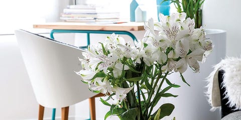 Room, Bouquet, Petal, Flower, Interior design, Cut flowers, Artifact, Interior design, Centrepiece, Flower Arranging, Room, Bouquet, Petal, Flower, Interior design, Cut flowers, Artifact, Interior design, Centrepiece, Flower Arranging,
