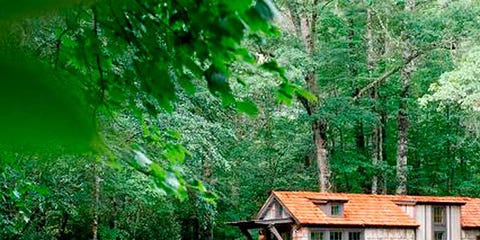 Nature, Natural landscape, Green, Water, Tree, Nature reserve, Reflection, House, Botany, Pond, Nature, Natural landscape, Green, Water, Tree, Nature reserve, Reflection, House, Botany, Pond,