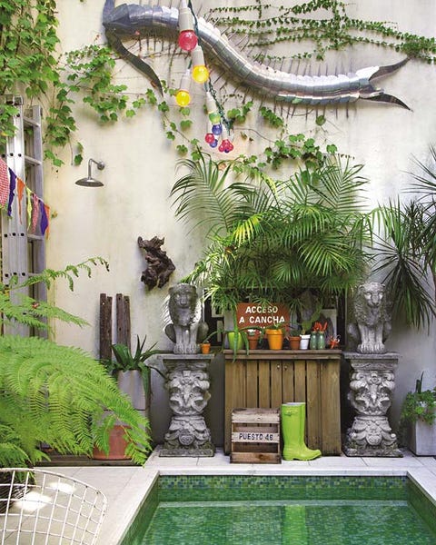 Green, Property, Building, Botany, Wall, Interior design, House, Room, Plant, Tree, 