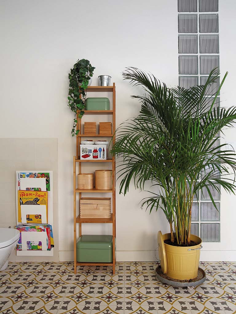 Shelf, Shelving, Furniture, Floor, Room, Houseplant, Bookcase, Flowerpot, Flooring, Interior design, 