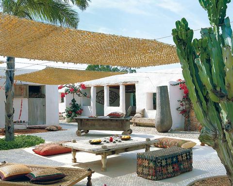 House, Thorns, spines, and prickles, Shade, Cactus, Courtyard, Houseplant, Flowerpot, Outdoor furniture, Hacienda, San Pedro cactus, 