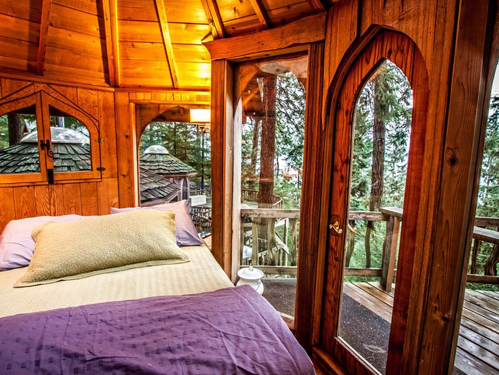 Bedroom, Room, Property, Furniture, Building, Bed, Interior design, House, Architecture, Tree, 
