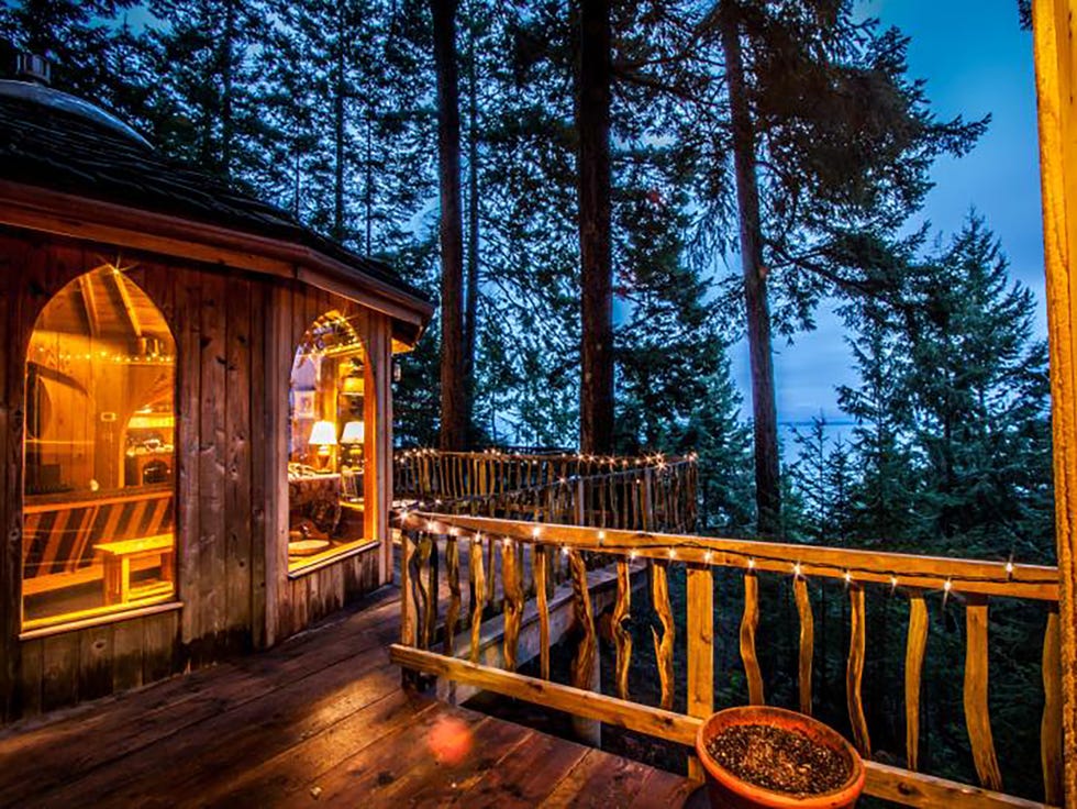 Home, Property, Tree, House, Log cabin, Sky, Lighting, Deck, Cottage, Building, 