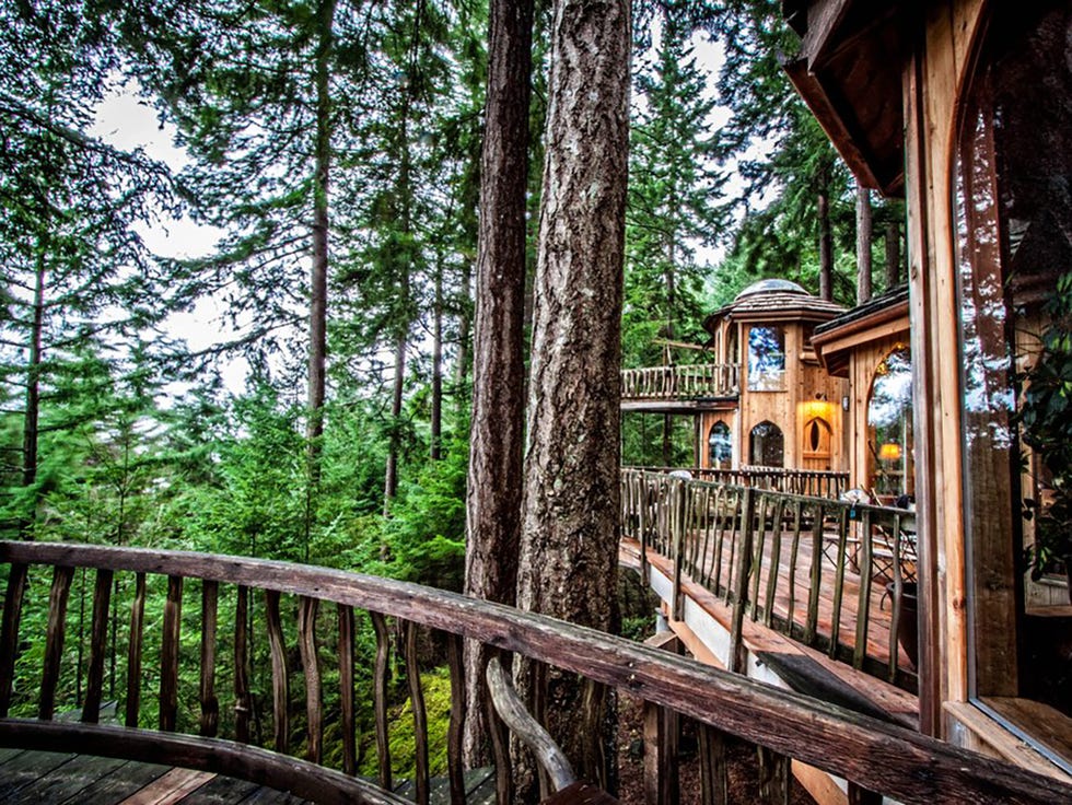 Tree, Vegetation, Natural environment, Property, Forest, Nature reserve, House, Architecture, Botany, Woody plant, 