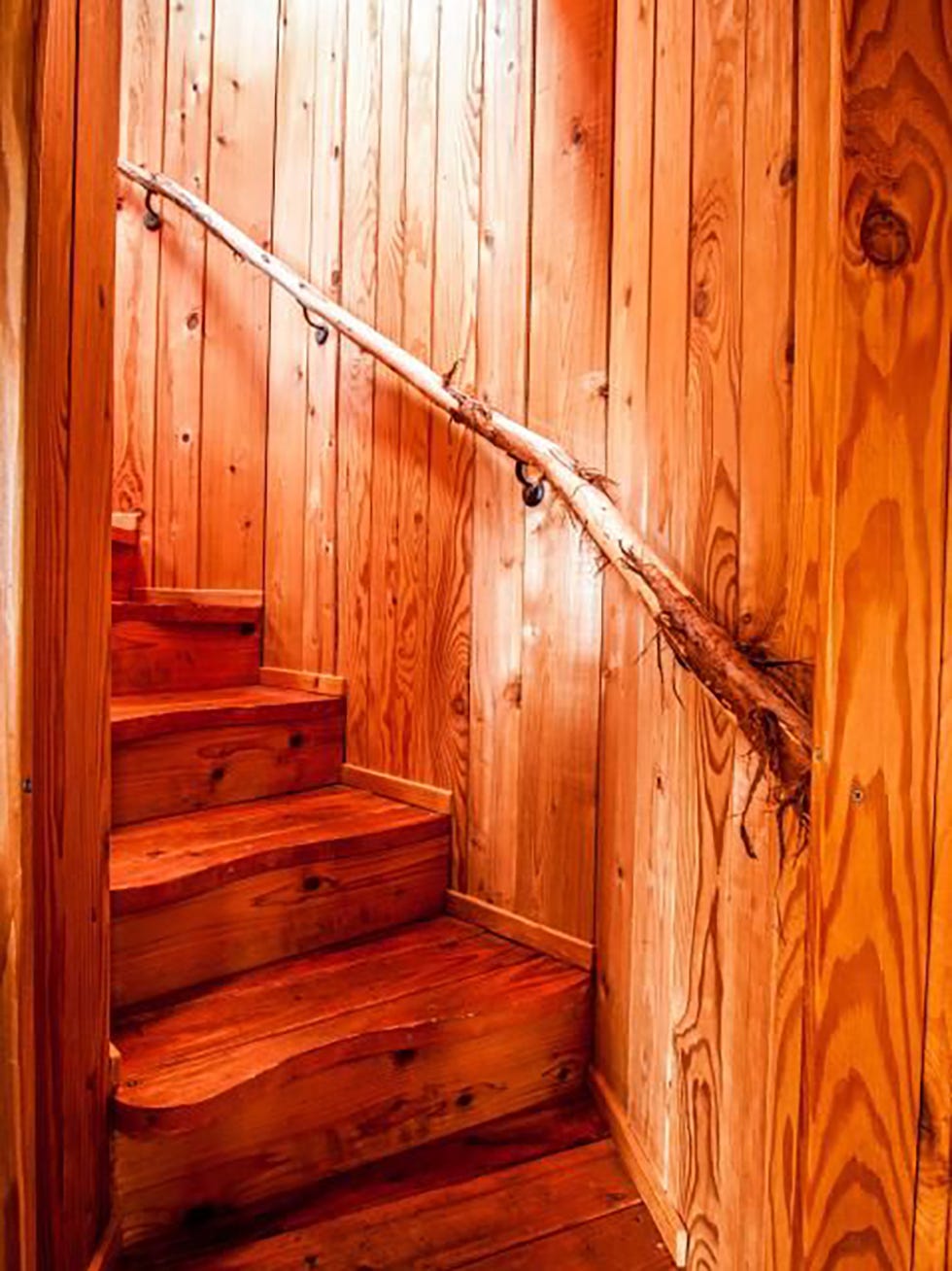 Wood, Hardwood, Wood stain, Wood flooring, Stairs, Floor, Lumber, Varnish, Room, Plank, 