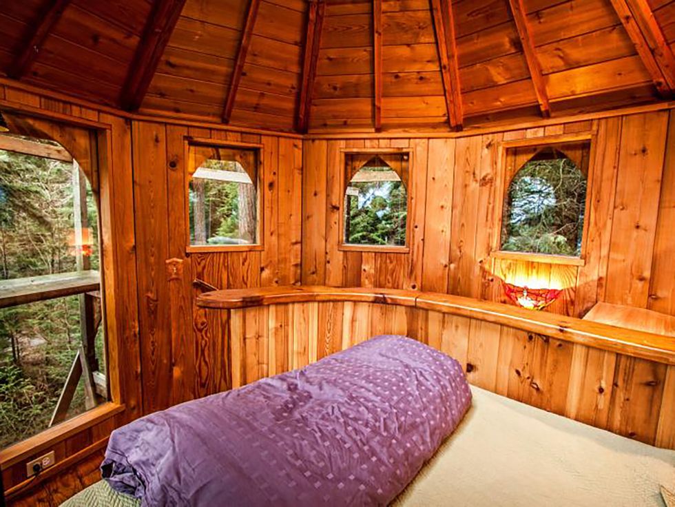 Todo el mundo se fija en esta casita de madera en medio del bosque: cálida,  acogedora como el refugio perfecto