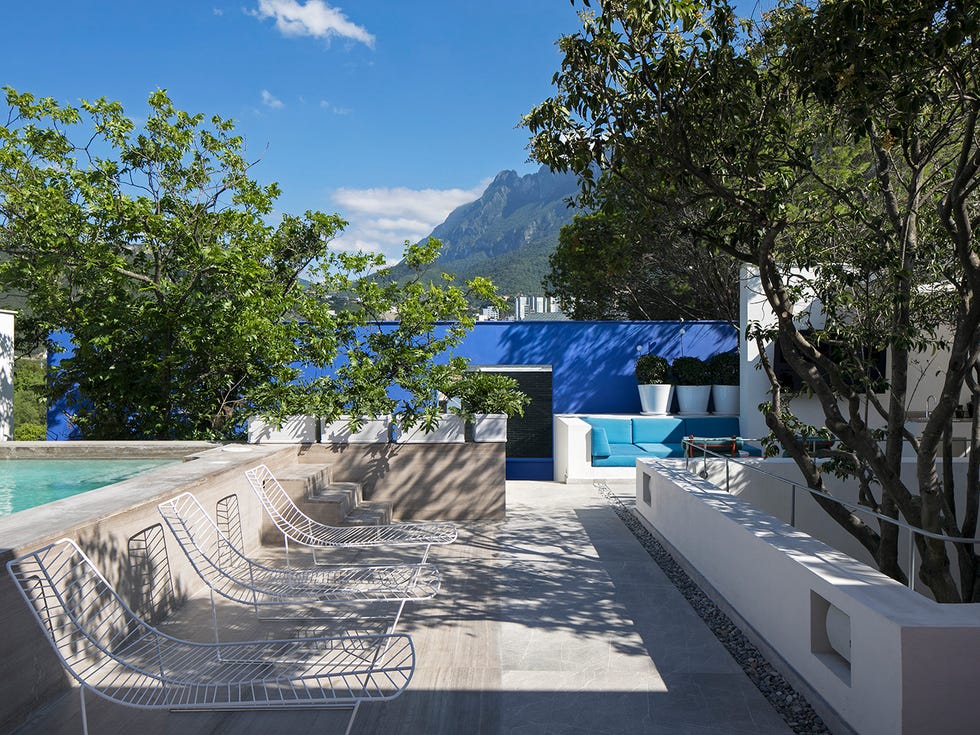 Casa moderna de colores: jardín con piscina