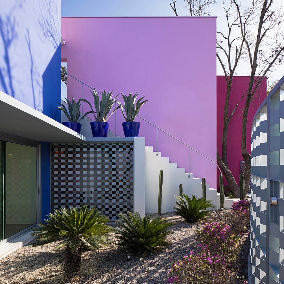 Casa moderna de colores: jardín