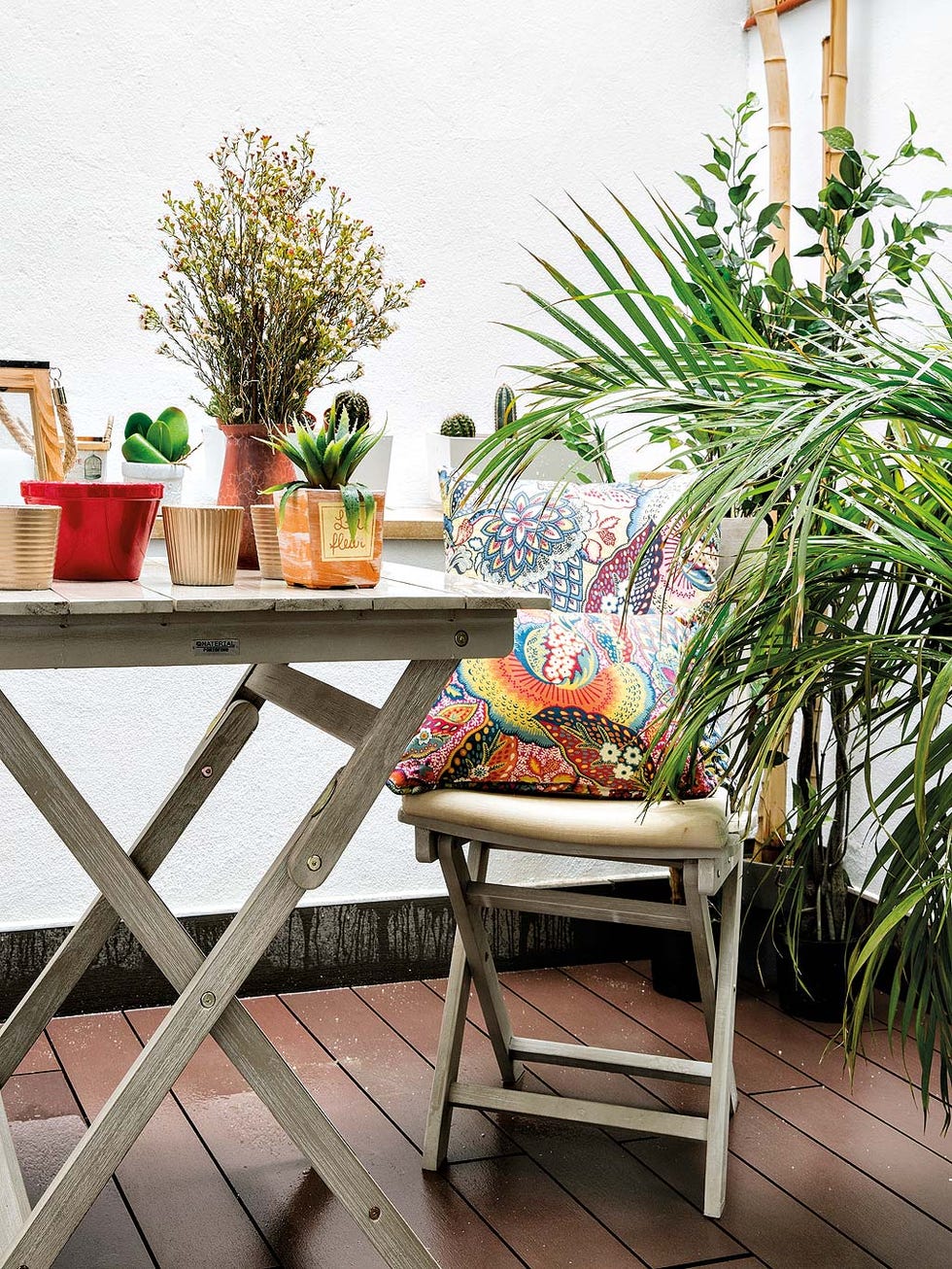 Furniture, Table, Houseplant, Room, Interior design, Chair, Balcony, Coffee table, Botany, Flowerpot, 