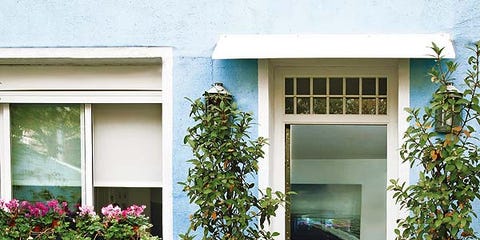 Plant, Flowerpot, Furniture, Fixture, Outdoor table, Outdoor furniture, Houseplant, House, Interior design, Shrub, Plant, Flowerpot, Furniture, Fixture, Outdoor table, Outdoor furniture, Houseplant, House, Interior design, Shrub,