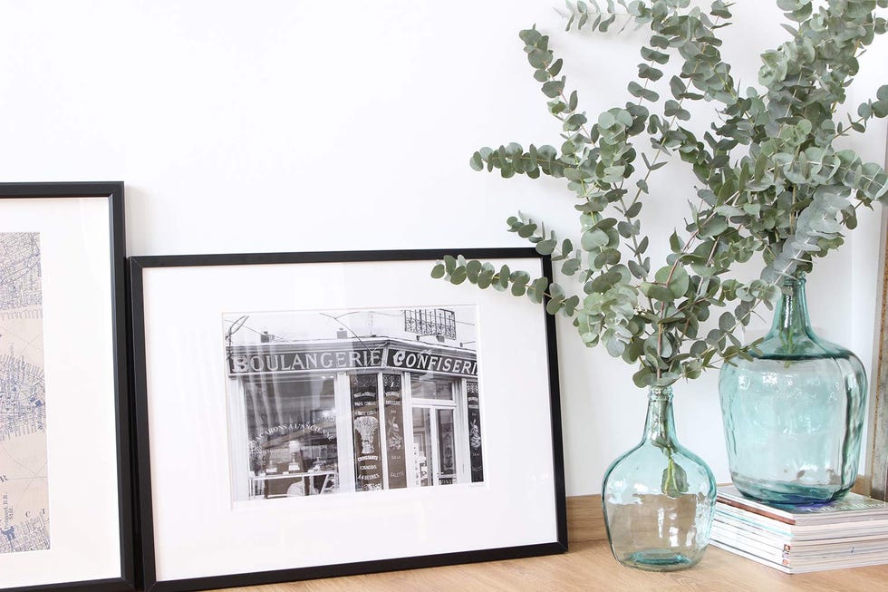Branch, Glass, Leaf, Interior design, Vase, Design, Transparent material, Annual plant, Herb, Still life photography, 