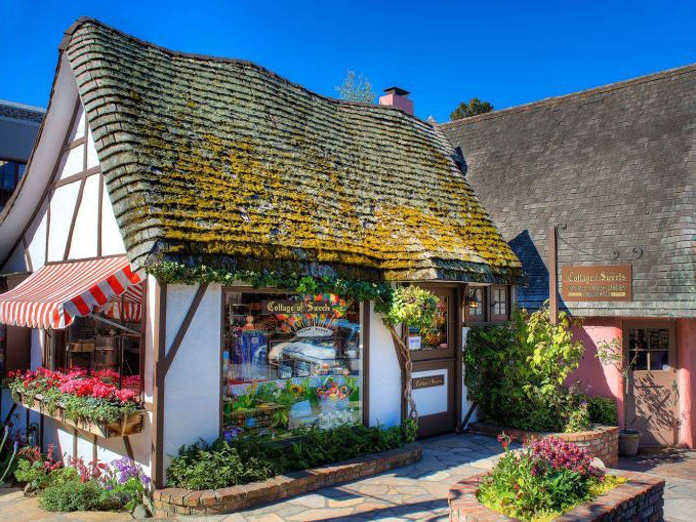 Plant, Roof, House, Thatching, Cottage, Flowerpot, Village, Landscaping, Annual plant, Houseplant, 