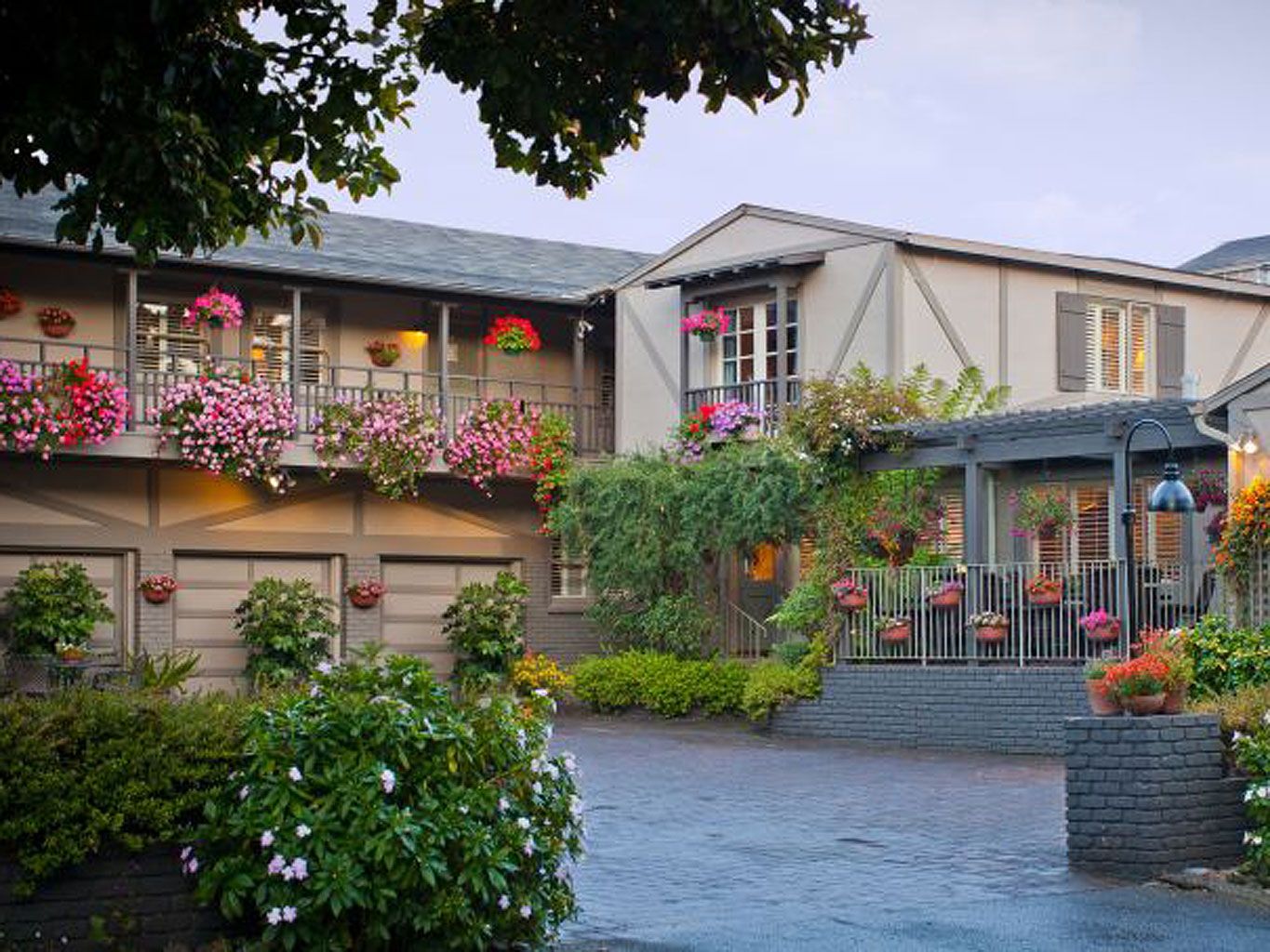 Plant, Window, Property, Shrub, Residential area, House, Neighbourhood, Flower, Real estate, Building, 