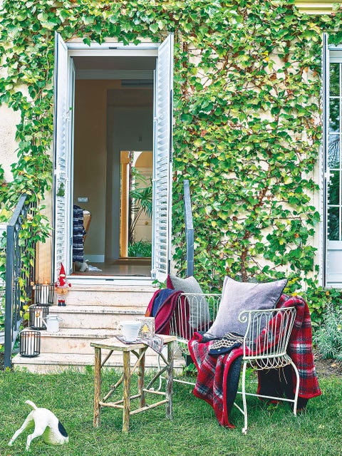 green, furniture, house, chair, home, door, outdoor furniture, porch, dog breed, backyard,