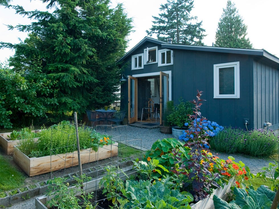 Home, House, Property, Yard, Garden, Cottage, Real estate, Shed, Siding, Building, 
