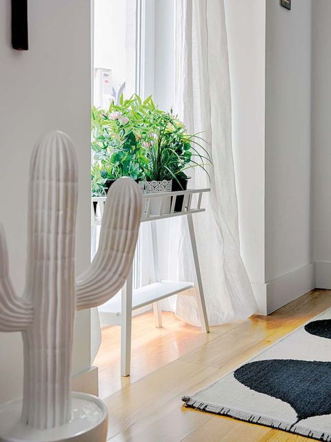White, Curtain, Green, Interior design, Room, Floor, Window treatment, Property, Houseplant, Furniture, 