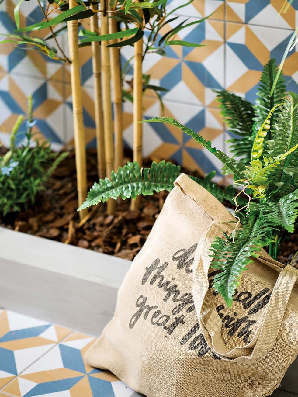 Flowerpot, Houseplant, Plant, Leaf, Room, Herb, Flower, Linens, Vascular plant, Interior design, 