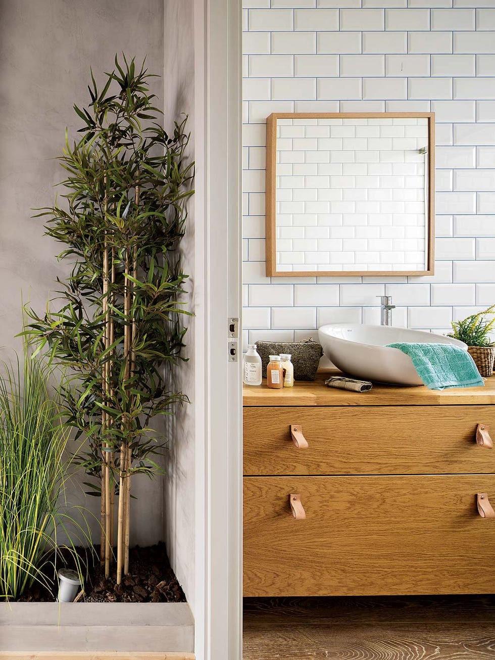 Wall, Room, Tree, Furniture, Interior design, Door, Plant, Wood, Houseplant, Window, 