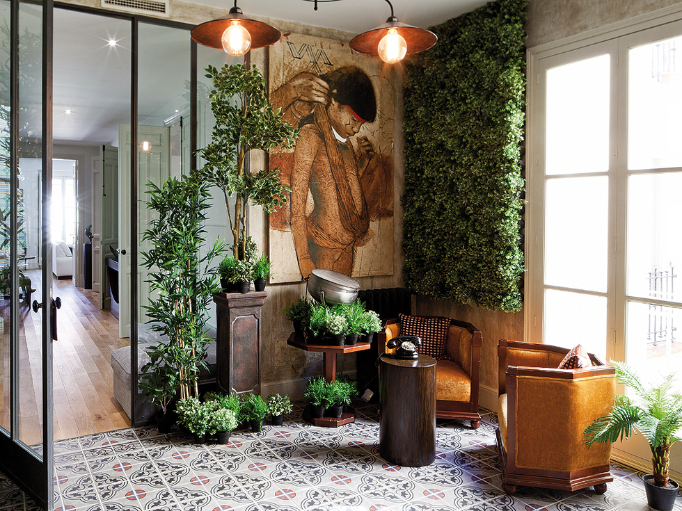 Lighting, Plant, Interior design, Floor, Ceiling, Flooring, Light fixture, Interior design, Chandelier, Flowerpot, 
