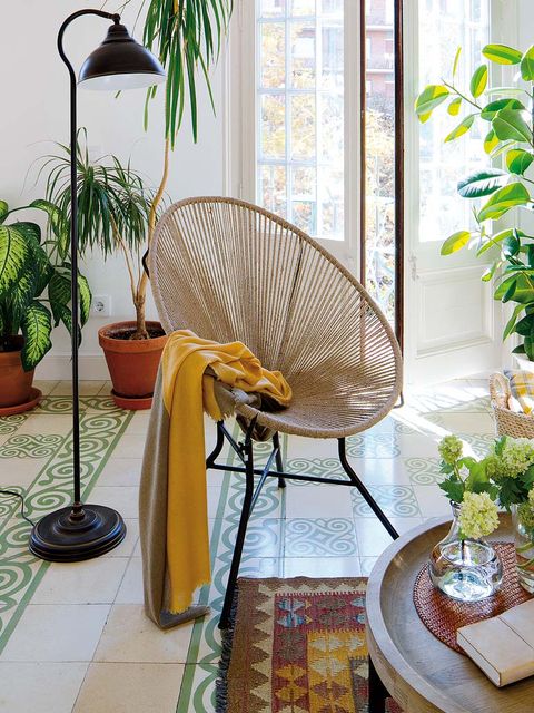 Plant, Flowerpot, Hardwood, Houseplant, Interior design, Outdoor furniture, Armrest, Coffee table, Home accessories, Herb, 