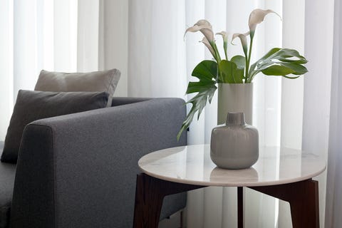 White, Room, Furniture, Interior design, Vase, Property, Table, Plant, Houseplant, Living room, 