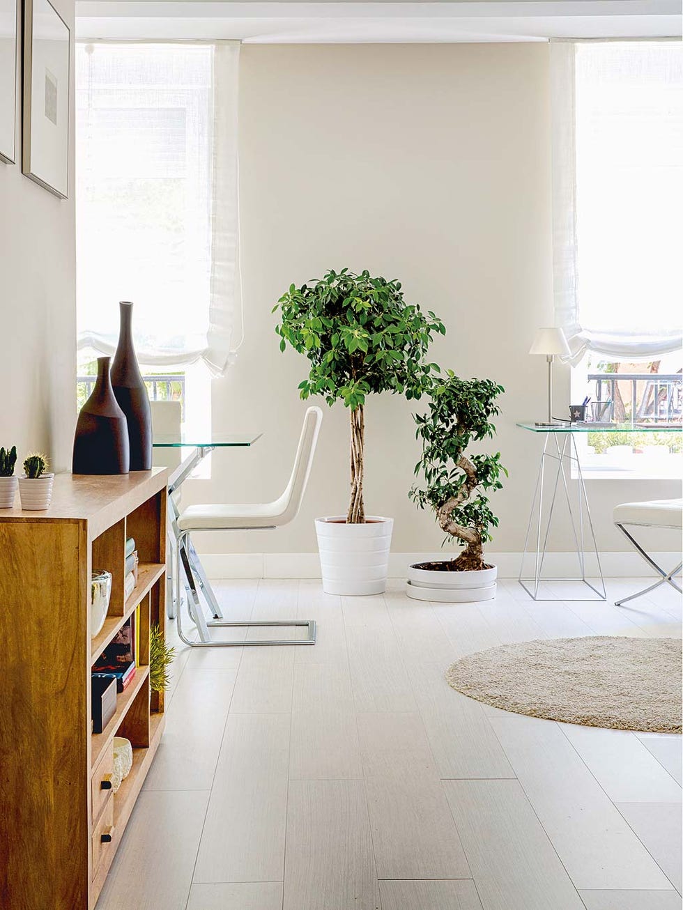 White, Floor, Houseplant, Tile, Room, Property, Interior design, Flowerpot, Flooring, Wall, 