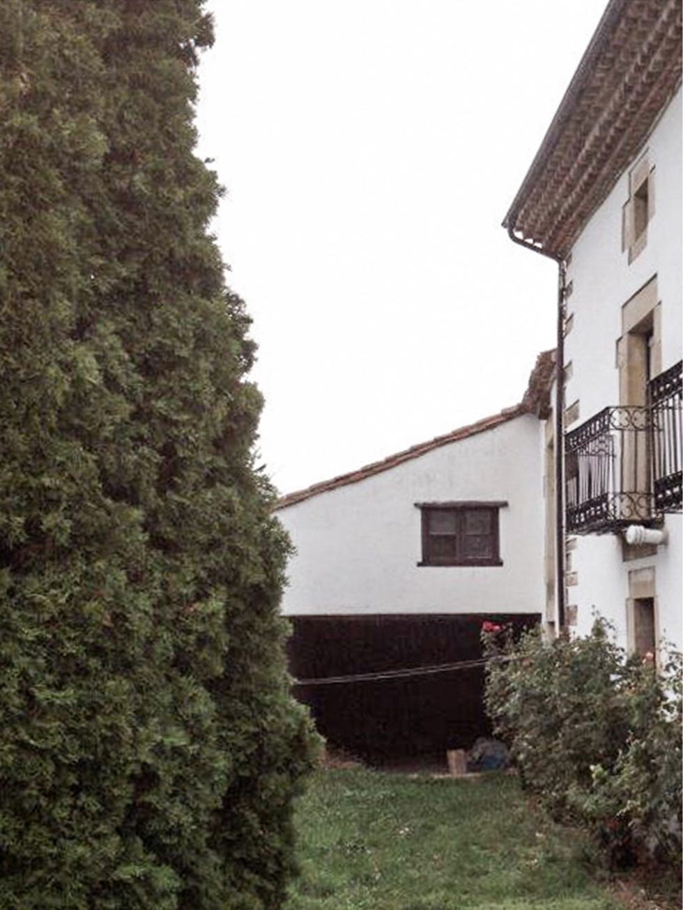 House, Property, Home, Tree, Architecture, Wall, Building, Residential area, Shrub, Grass, 
