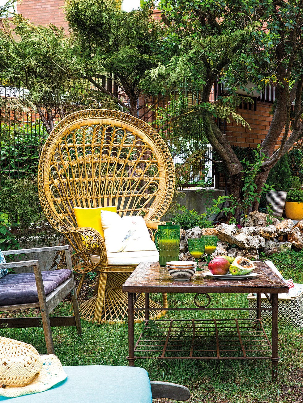 Wicker, Furniture, Table, Garden, Botany, Chair, Outdoor furniture, Yard, Outdoor table, Backyard, 