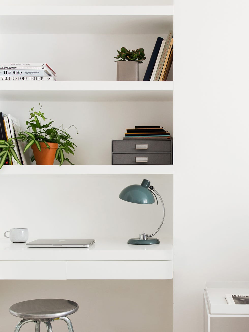 Room, Interior design, Wall, Furniture, Shelving, Shelf, Interior design, Flowerpot, Houseplant, Teal, 